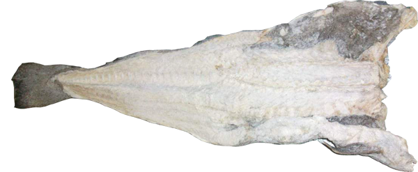 Stockfisch Bacalhau Corrente