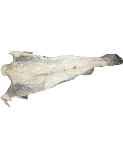 Stockfisch_Bacalhau_Crescido.png